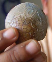 Kerang Berlafal Allah Bikin Heboh Warga Pontianak